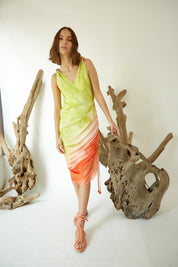 Coast Dress